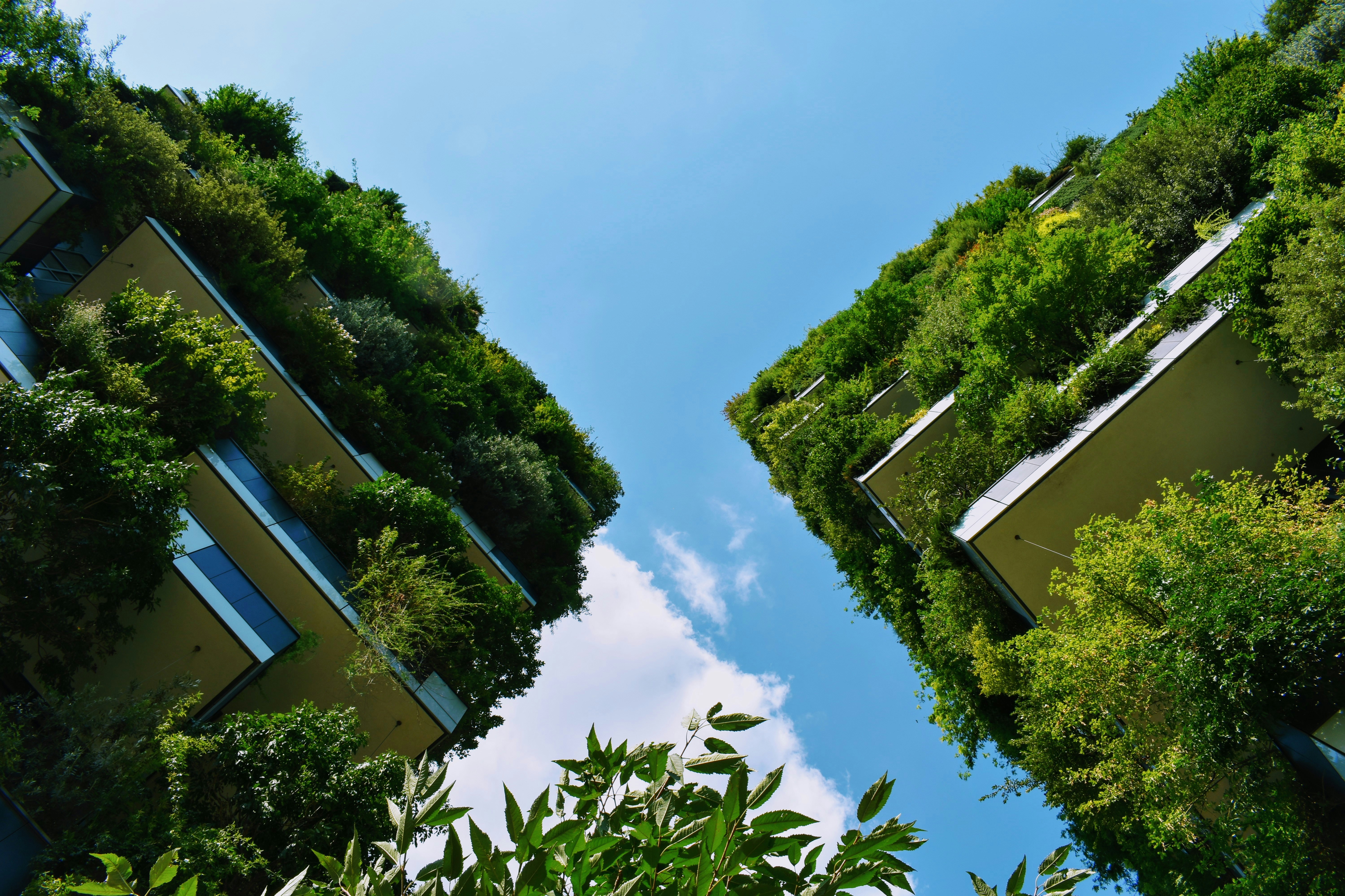 Urbanization