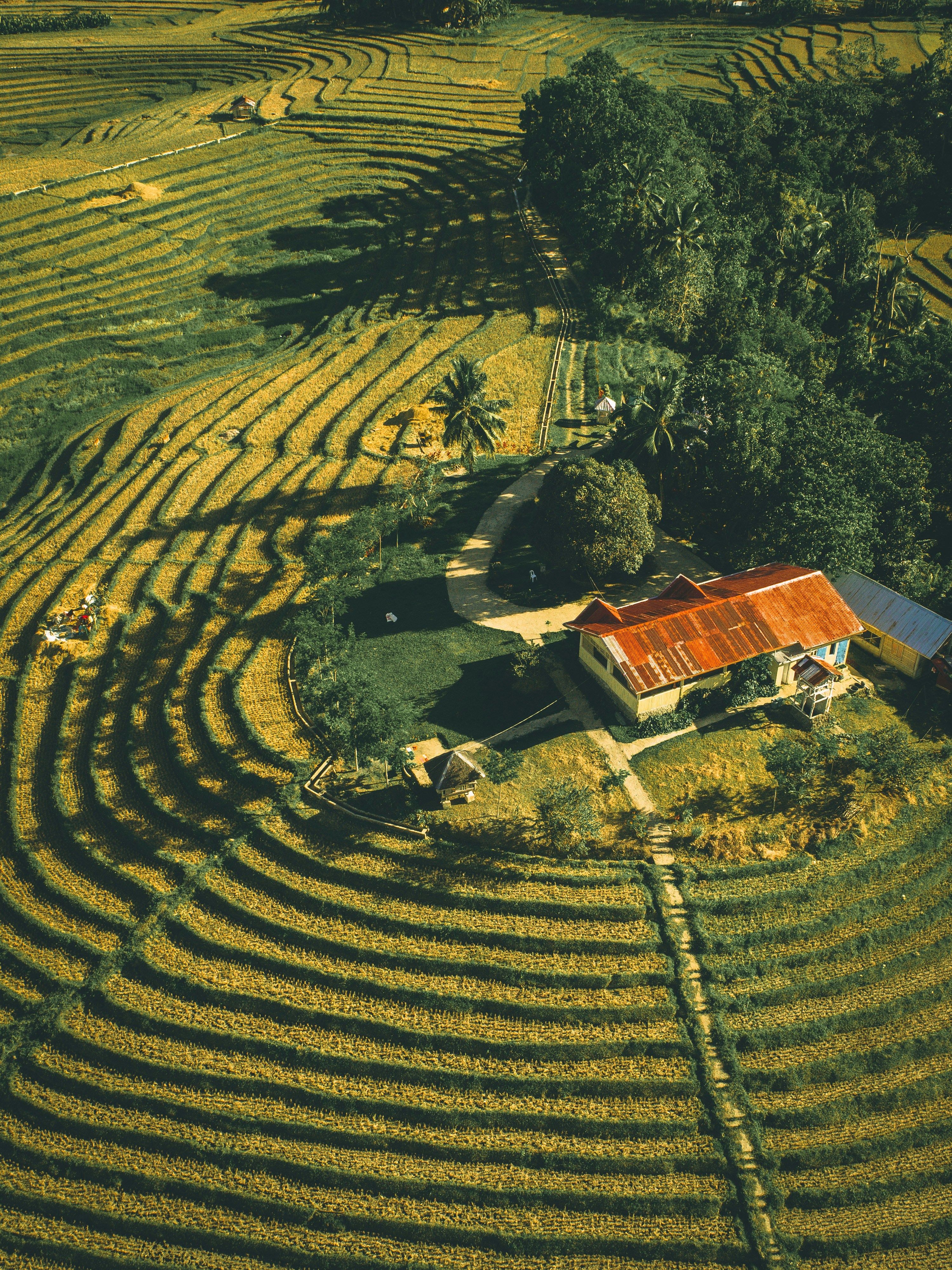 Photo depicting terrain